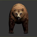 Brown Bear 3D Model With Orange And Brown Fur Standing On Dark Background