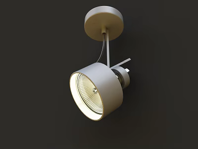 Modern White Downlight Spotlight Ceiling Lighting Fixture With Bright LED Design 3d model