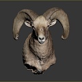 Modern Sheep Sheep Goat Lamb 3d model