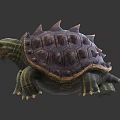 Modern Crocodile Turtle Cartoon Crocodile Turtle 3d model