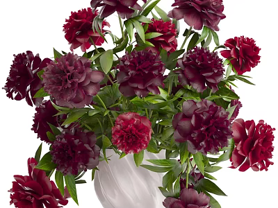 Elegant Decorative Ornament Set with Burgundy Purple Flowers and Green Leaves in White Vase 3d model