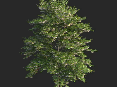 Lush Green Arbor with White Blossoms and Dense Foliage on Dark Background 3d model