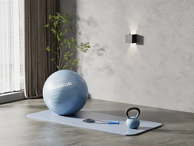 Blue SEDOFIT Yoga Ball Kettlebell And Mat For Home Fitness Workout Space 3d model