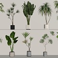 Modern green plant potted combination 3d model