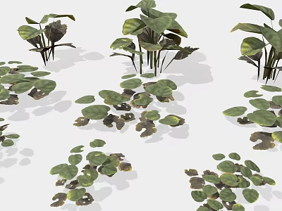 Diverse Green Plants With Various Leaf Shapes And Sizes On White Background 3d model