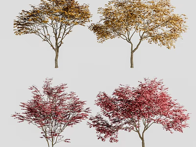 Vibrant Arbor Trees with Yellow and Red Autumn Foliage in Scenic View 3d model