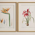 Gold Framed Botanical Prints Featuring Strelitzia Amaryllis Flowers with Stem Leaf and Root Illustrations 3d model