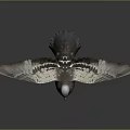 Detailed Flying Pigeon With Spread Wings Red Feet Purple Neck And Gray Feathers