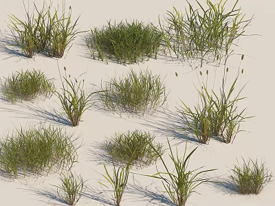 modern grass weed 3d model