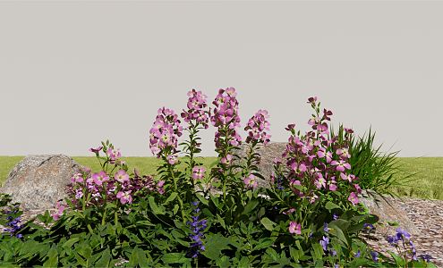 Modern Flower Violet Flower Bushes Flowers Purple Flowers 3d model