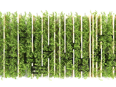 Living Green Plant Wall With Vertical Support Panels And Lush Foliage 3d model Living Green Plant Wall With Vertical Support Panels And Lush Foliage 3d model
