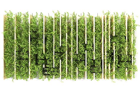 Modern Plant Wall 3d model