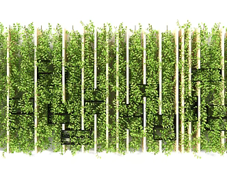 Modern Plant Wall 3d model