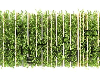 Modern Plant Wall 3d model