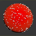 Red Mushroom With White Spots On Cap And White Stem Brown Base