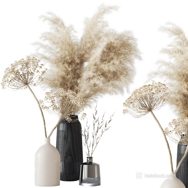 White And Black Vases With Pampas Grass Dried Flowers In Natural Home Decor 3d model 