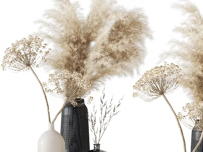 White And Black Vases With Pampas Grass Dried Flowers In Natural Home Decor 3d model