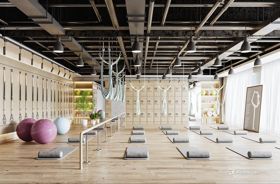 Spacious Yoga Studio Interior With Yoga Mats Exercise Balls Hammocks And Wooden Floor 3d model 