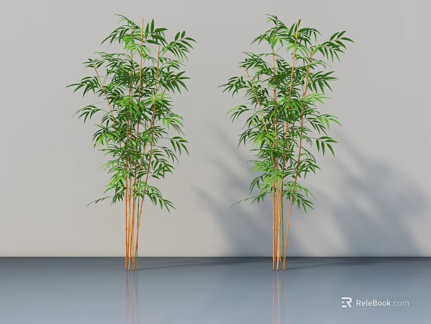 Indoor Bamboo Plants with Green Leaves and Yellow Stems Against Gray Wall and Reflective Floor 3d model 