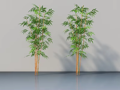 Indoor Bamboo Plants with Green Leaves and Yellow Stems Against Gray Wall and Reflective Floor 3d model