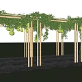Wooden Pergola With Green Vines Hanging Fruits And Stone Pavement In Garden