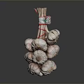 Fresh Garlic Bulbs Tied With Red String And Wooden Stem For Cooking