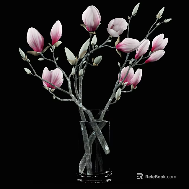 Elegant Pink Magnolia Flowers in Transparent Glass Vase on Black Background 3d model 