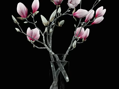 Elegant Pink Magnolia Flowers in Transparent Glass Vase on Black Background 3d model