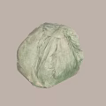 Unpolished Raw Stone With Natural Texture And Irregular Shape On Green Background