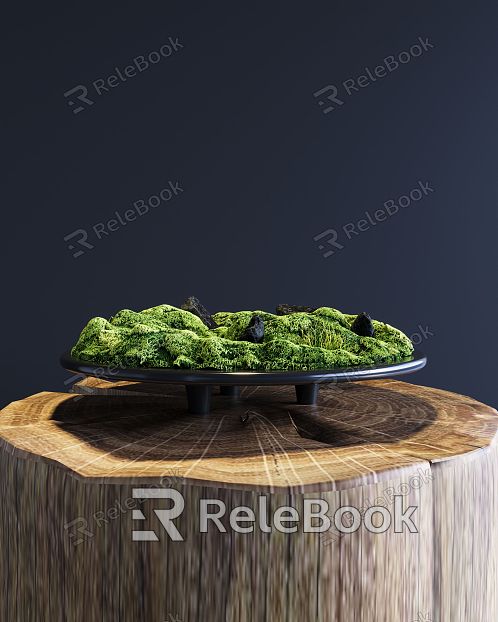 Modern moss bonsai model