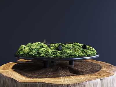 Modern moss bonsai model