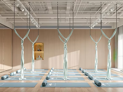 Contemporary Aerial Yoga Studio With Hammocks Yoga Mats And Foam Rollers 3d model