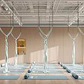 Contemporary Aerial Yoga Studio With Hammocks Yoga Mats And Foam Rollers