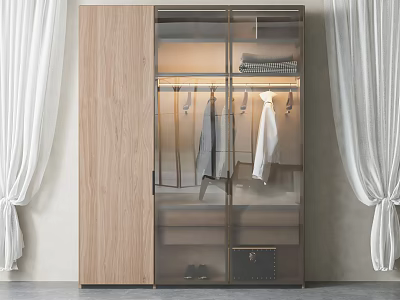 Modern Wardrobe with Glass Door Wooden Panel and Hanging Clothes Storage 3d model