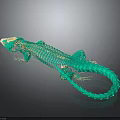 Vibrant Green Lizard Skeleton Art Model With Realistic Bone Structure And Polished Texture 3d model