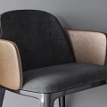 Modern Stylish Leisure Chairs with Two Tone Upholstery Wooden Armrests and Gold Accent Legs