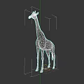 Tall Spotted Giraffe Standing With Long Neck And Legs In Wildlife View
