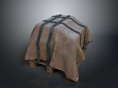 Household Item Covered With Brown Fabric And Cross Tied Black Straps On Wooden Pallet 3d model