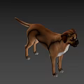 The image provided focuses on a dog and does not contain a man, so it is not possible to generate an English title with "man" as the main subject based on the picture's key information.