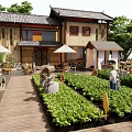 Traditional Chinese Garden with Vegetable Beds Wooden Walkway Umbrellas Tables and People Walking