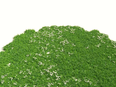 Lush Green Grass Field Dotted With Tiny White Flowers In Natural Environment 3d model