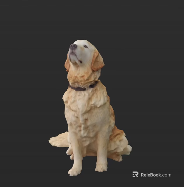 Detailed Reptile Sculpture Sitting On Black Background With Lifelike Features 3d model 