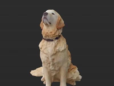 Detailed Reptile Sculpture Sitting On Black Background With Lifelike Features 3d model