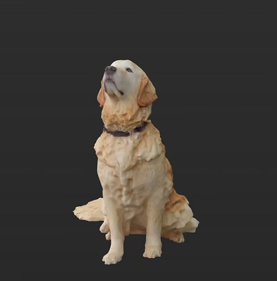 Modern Dog Golden retriever dog puppy 3d model