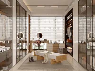 Modern Walk In Closet With Glass Cabinets And Natural Light 3d model
