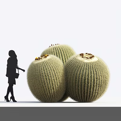 Modern Cactus Golden Amber Ornamental Plants 3d model Modern Cactus Golden Amber Ornamental Plants 3d model