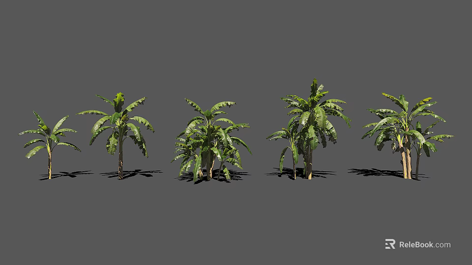 Various Arbor Trees With Green Leaves And Different Trunk Shapes 3d model 