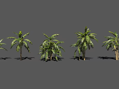 Various Arbor Trees With Green Leaves And Different Trunk Shapes 3d model