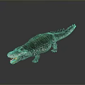 Realistic Crocodile Reptile Model With Detailed Scales Open Mouth And Textured Skin