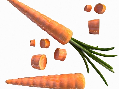 Carrot model